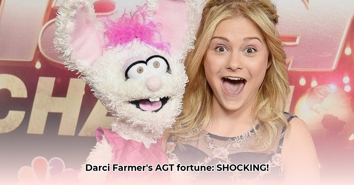 darci-farmer-net-worth